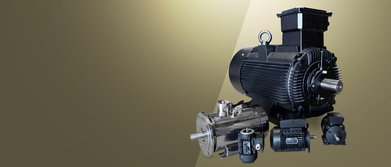 lafert australia electric motors