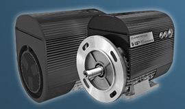 Lafert High Performance Motors IE4